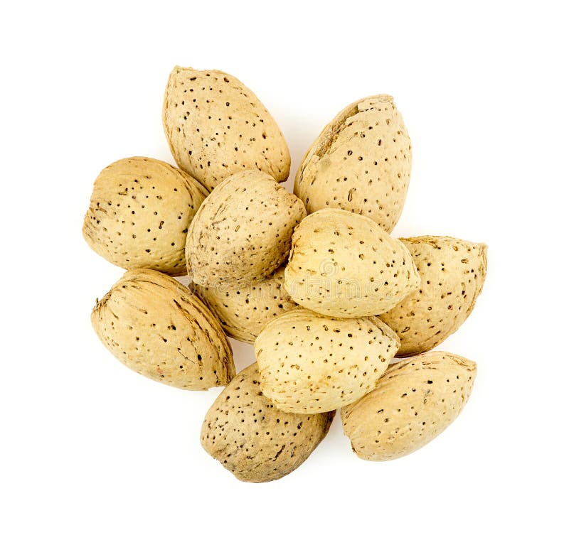 Unshelled Almonds stock image. Image of salted, shell 1630023