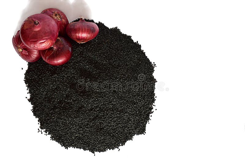 A Pile of Onion Seeds and a Bulb on a White Background. Stock Image