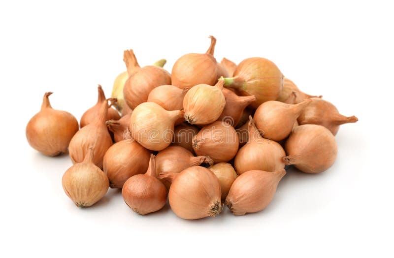 Pile of onion sets stock image. Image of crop, group 94471591