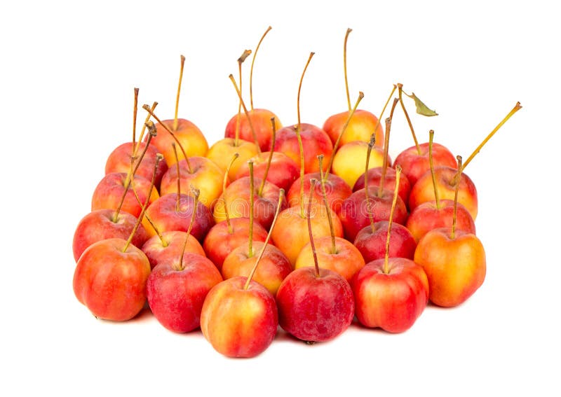 Two paradise apple stock image. Image of healthy, bright 128124293