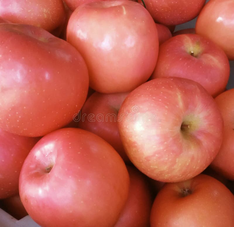 Pile of pink lady apples stock photo. Image of pile 274643416