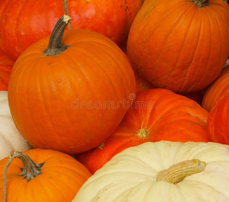 Pile of pumpkins