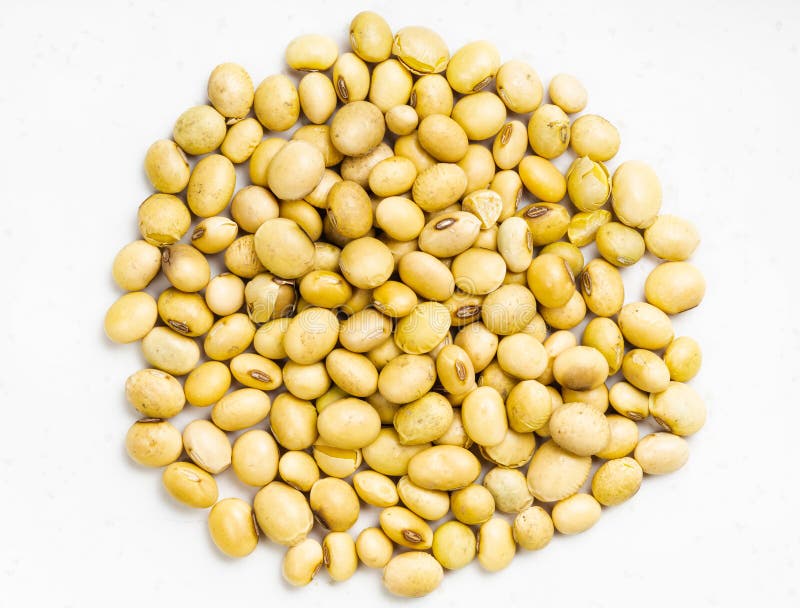 Pile of Raw Dried Soybeans Close Up on Gray Stock Photo Image of bean