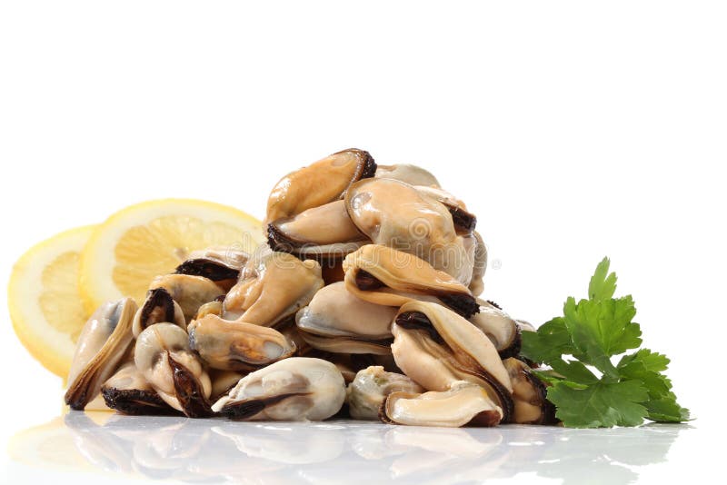 Pile of mussels stock image. Image of market, sale, thailand 147641