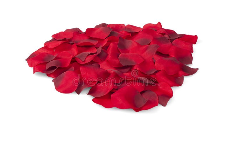 Red silk rose petals stock photo. Image of beautiful 66884232