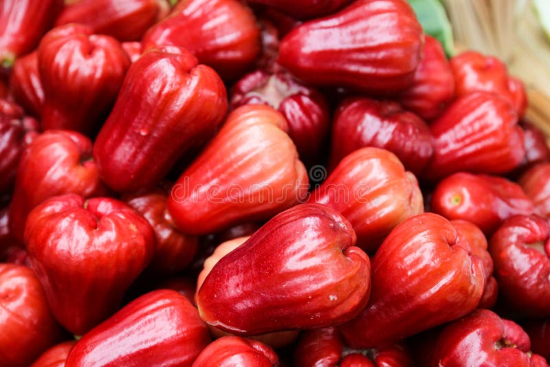 Pile of rose apple fruit stock image. Image of produce 50554069