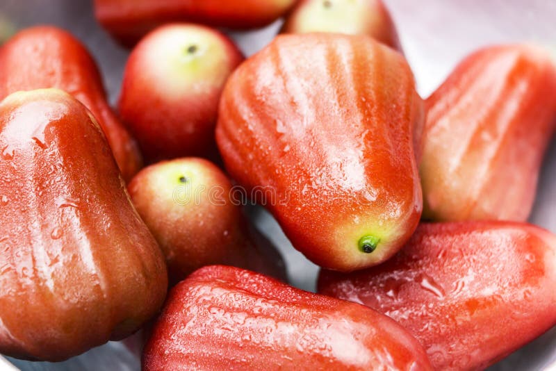 A Pile of Rose Apples, Rose Apple is Fruit Flavors of Sweet and Stock