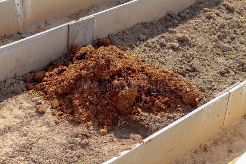 A Pile of Rotted Compost on the Garden Bed in the Spring Stock Image