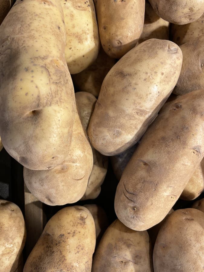 Pile of Russet Potatoes on Display Bunched Up Stock Image Image of potatoes, healthy 232599681