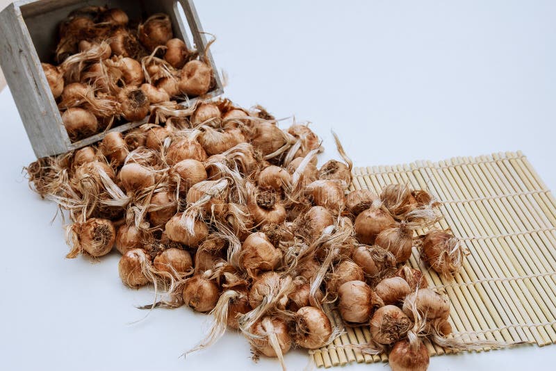 673 Saffron Bulbs Stock Photos Free & RoyaltyFree Stock Photos from