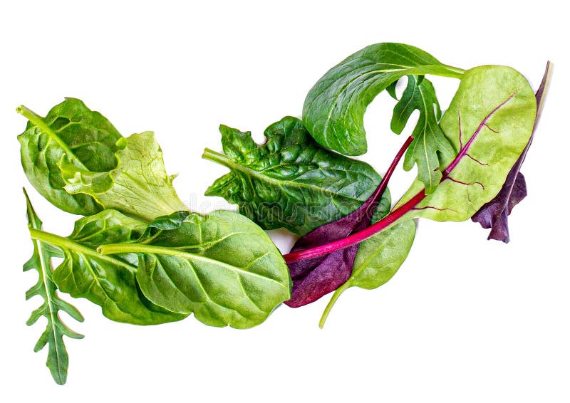 Pile of Salad Leaves isolated on white background. Green salad with arugula, lettuce, chard, spinach and beets leaf royalty free stock image Pile of Salad Leaves isolated on white background. Green salad with arugula, lettuce, chard, spinach and beets leaf royalty free stock image