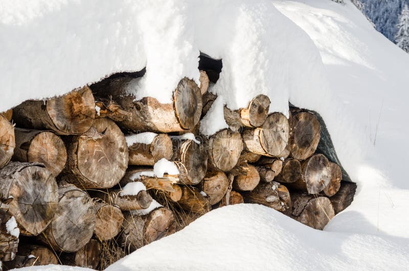 Pile of Sawn Logs Covered in Snow stock images