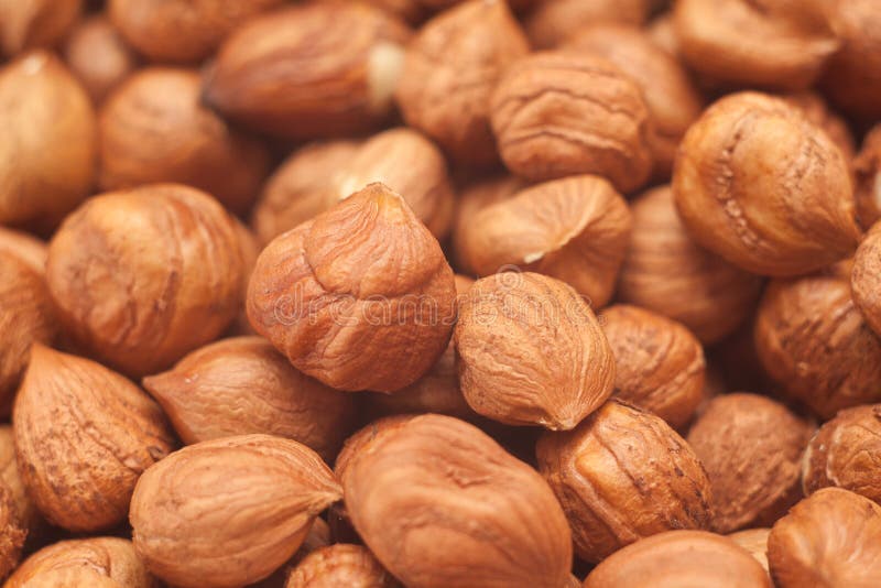 Pile of Shelled Hazelnuts stock photo. Image of detail 65984728