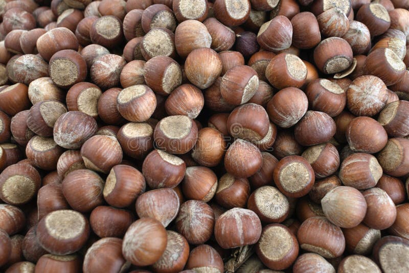 A Pile of Shelled Hazelnuts in a Sack. Healthy Food Dried Nuts. Close