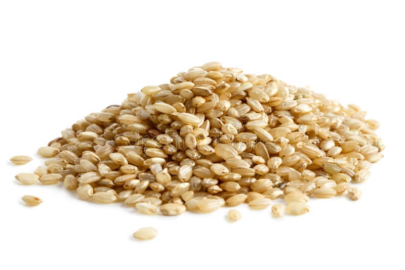 Pile of short grain brown rice.