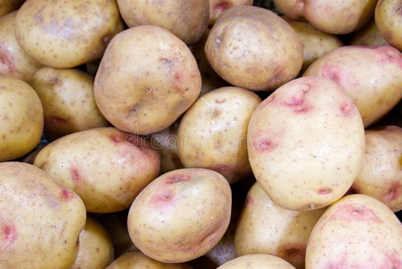 Pile of some King Edward potatoes with several pink dots on them