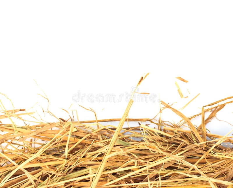 Pile Of Straw Stock Image Image Of Agriculture Country 90808977