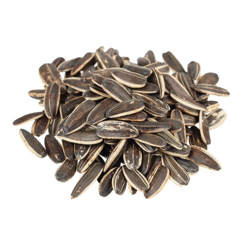 Pile of Sunflower Seeds Isolated on White Stock Photo Image of