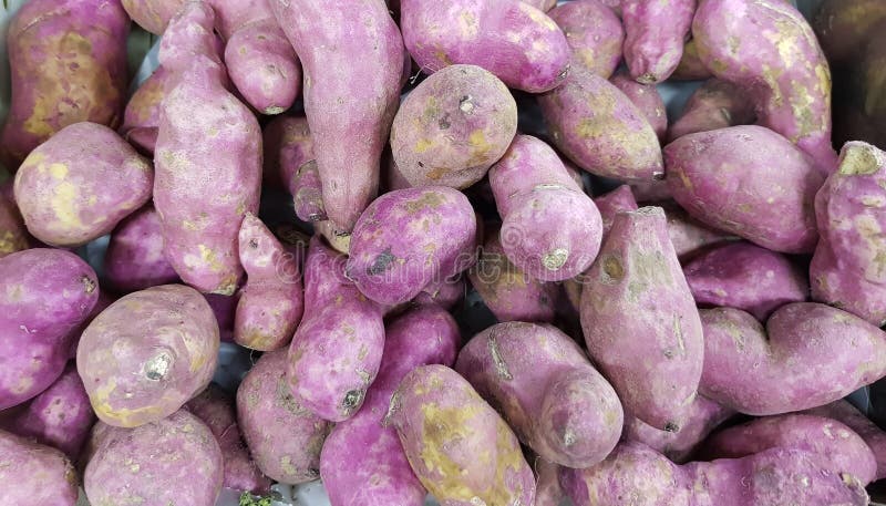 Pile of Sweet Potato in Vegetable Market for Sale Stock Photo - Image ...