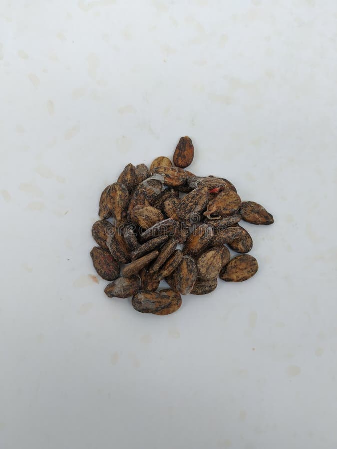 Pile and texture of a dried water melon seeds isolated on white background. Water melon seed in a steel cup