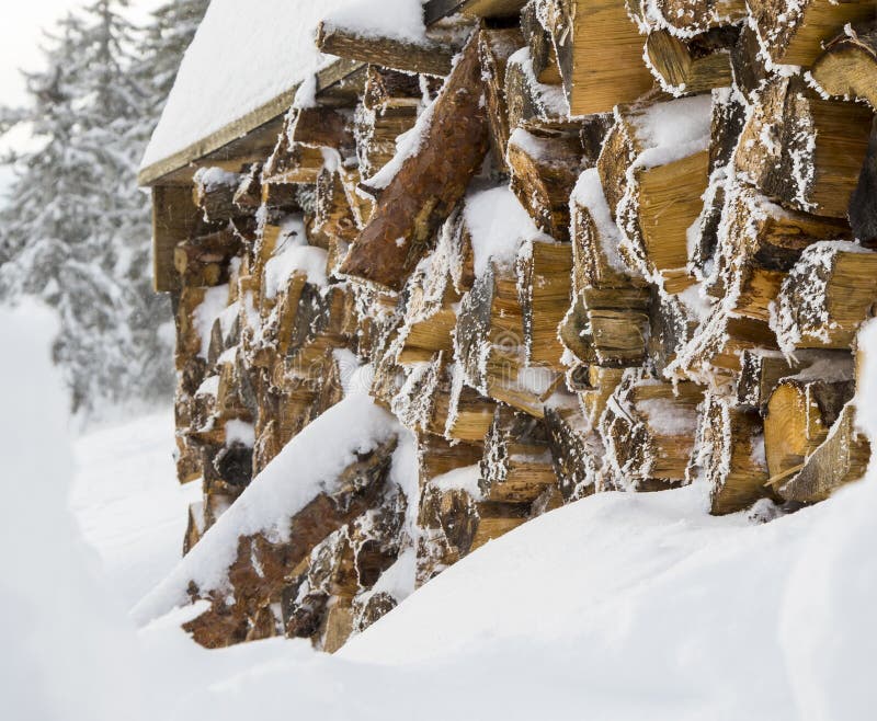 Pile of timber logs royalty free stock photography
