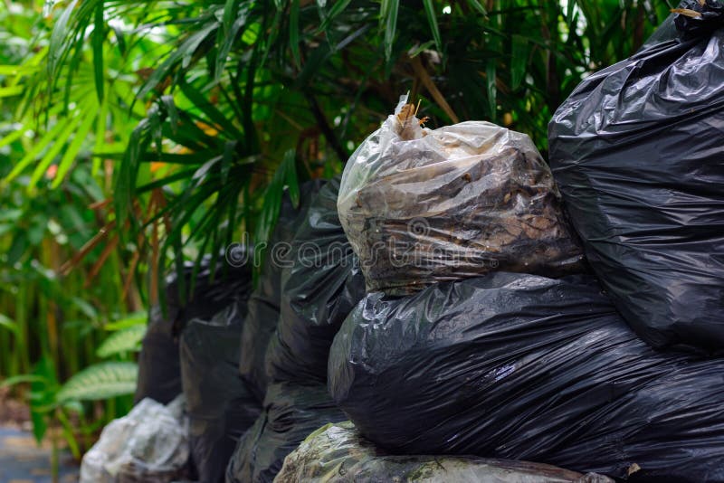 1,214 Biodegradable Plastic Bags Stock Photos Free & RoyaltyFree