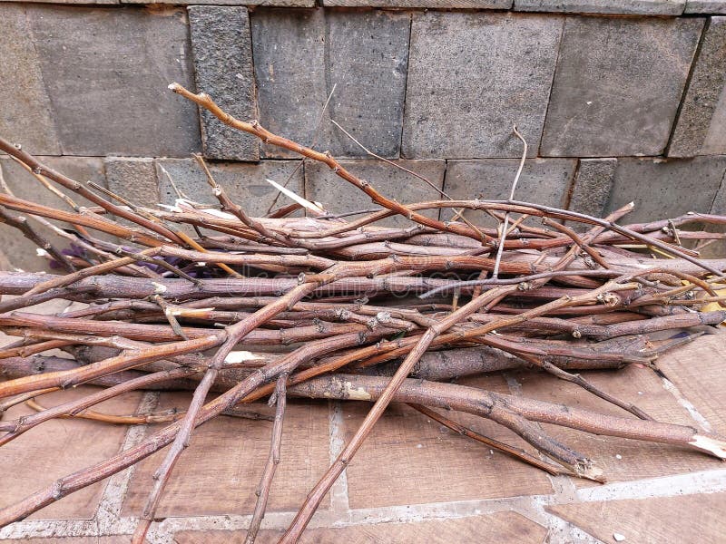 4,897 Pile Tree Branches Photos Free & RoyaltyFree Stock Photos from