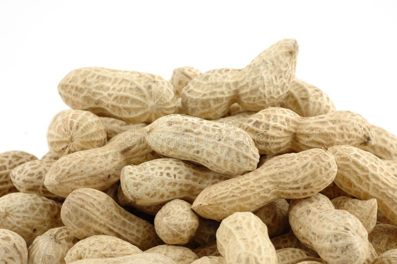 Pile of unshelled peanuts stock image. Image of shell 3195543