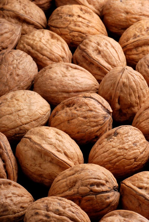 Pile of walnuts stock photo. Image of closeup, diet, walnut 26330498