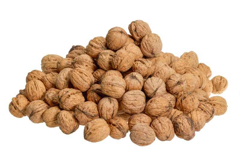 Pile of walnuts stock image. Image of cluster, english 89985823