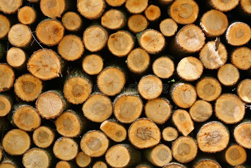 Pile of wood