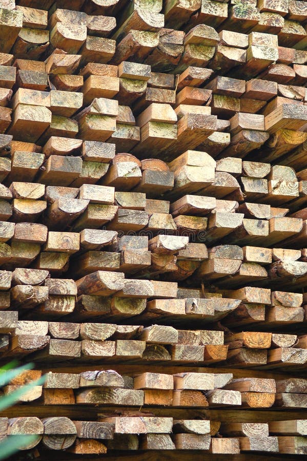 Pile of Wood