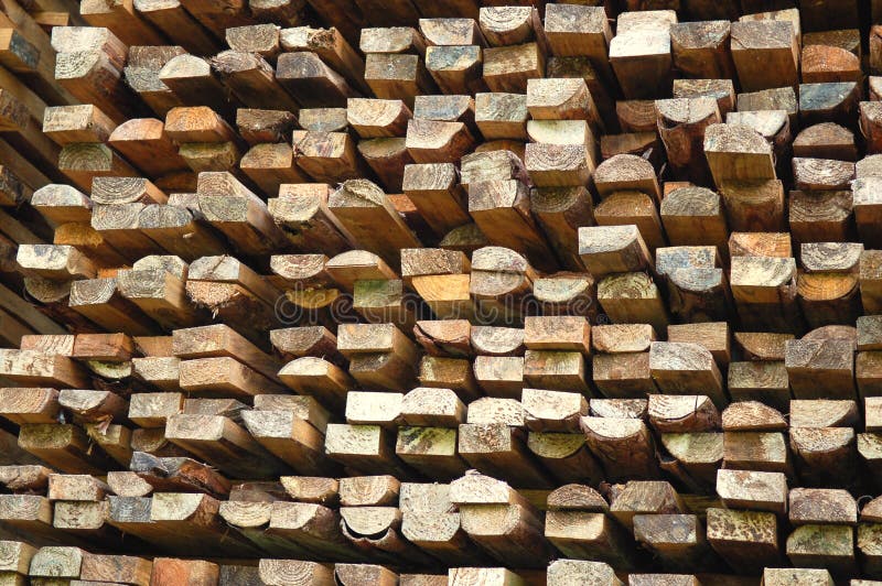 Pile of Wood