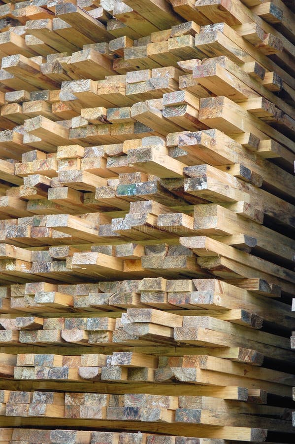 Pile of Wood