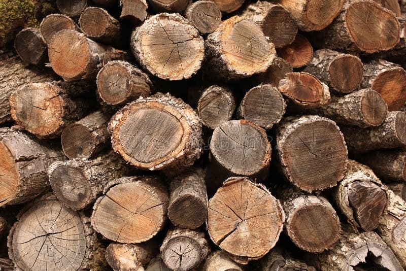 A pile of wood stock photo. Image of firewood, pine - 143932244