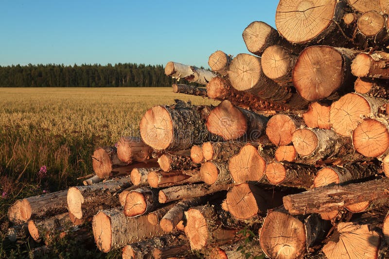 Pile of Wood By The Fields. The farmer has cut down some wood and piled it by the fields. The early autumn sunset colors the scene beautifully stock photos Pile of Wood By The Fields. The farmer has cut down some wood and piled it by the fields. The early autumn sunset colors the scene beautifully stock photos