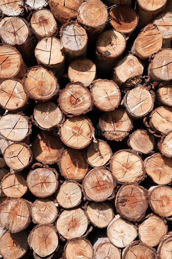 Pile of wood logs Background.