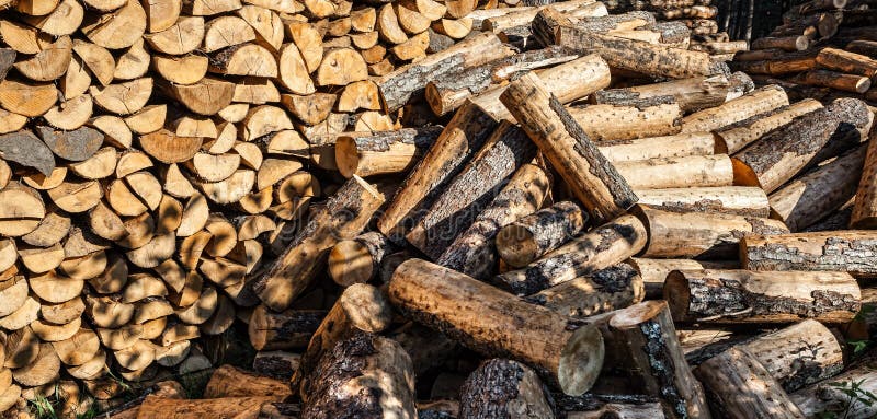 Pile of wood logs