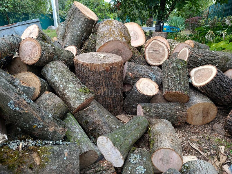 A pile of wood sitting on top of a pile of logs stock photos