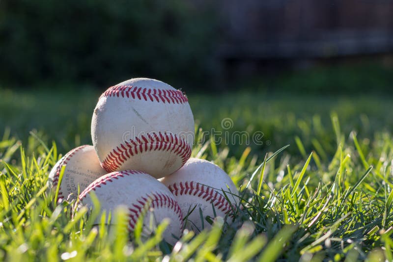 Pile of worn baseballs in the grass, soaking in the afternoon sun