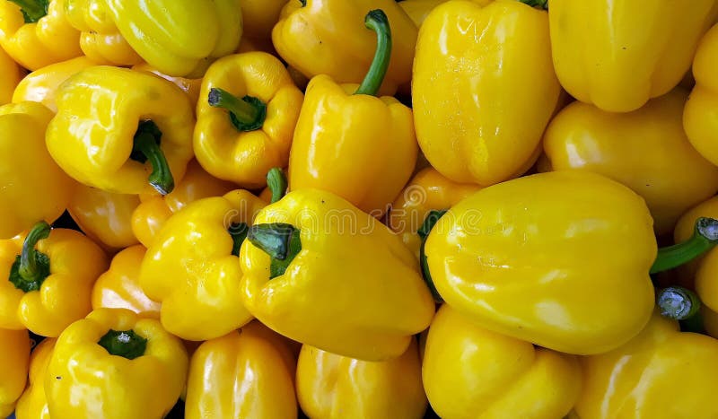 Yellow capsicum found in local supermarket stock images