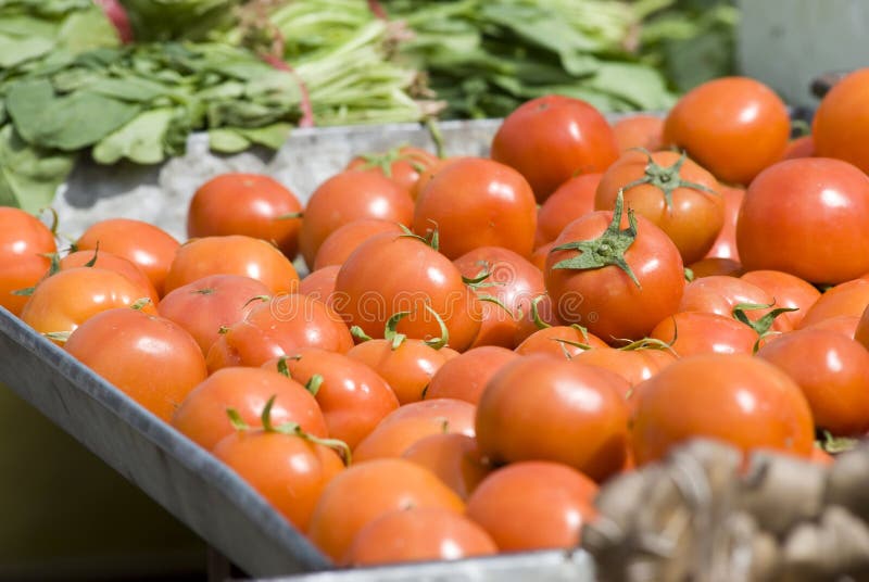 Piles of fresh tomatoes stock photo. Image of color, focus 13563264