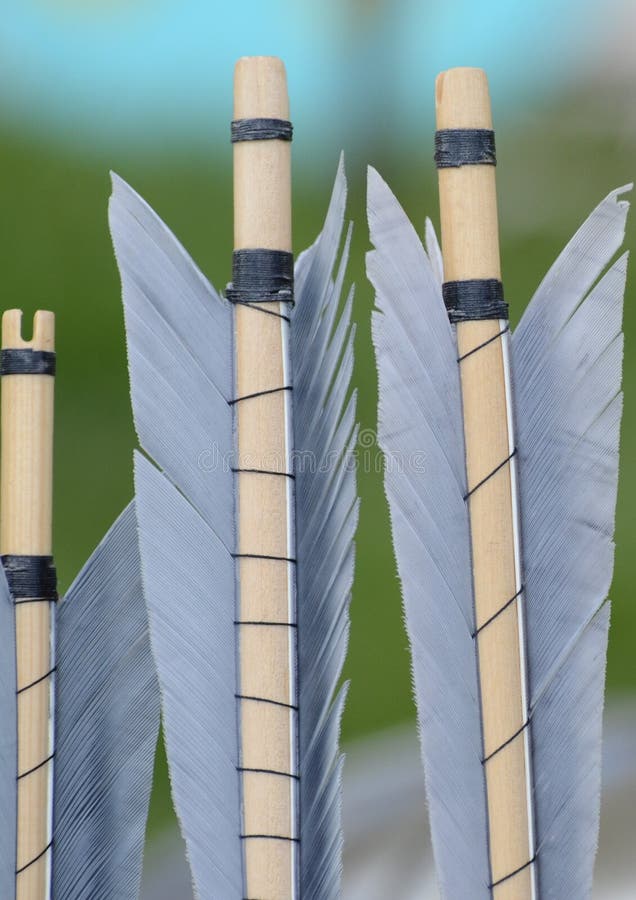 Arrows fletched in the medieval style. Arrows fletched in the medieval style