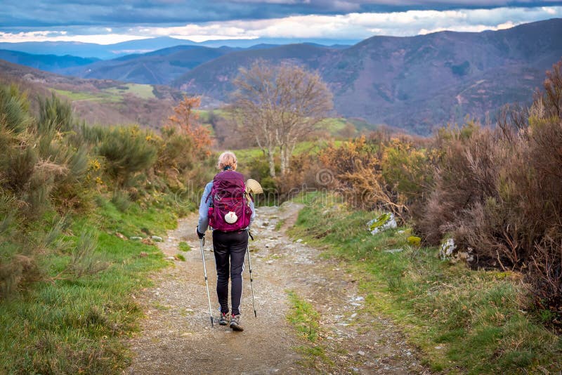 15,703 Camino De Santiago Compostela Royalty-Free Photos and Stock Images