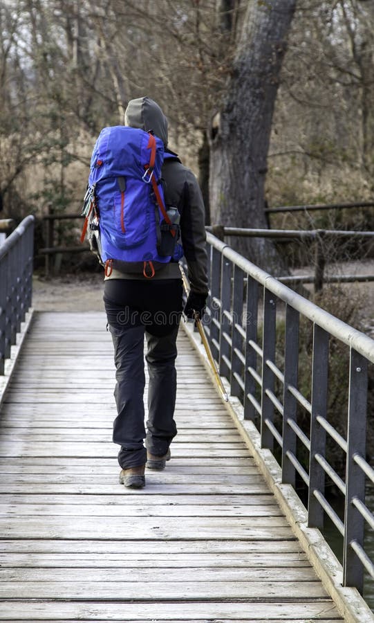 Pilgrim walking in nature stock photography