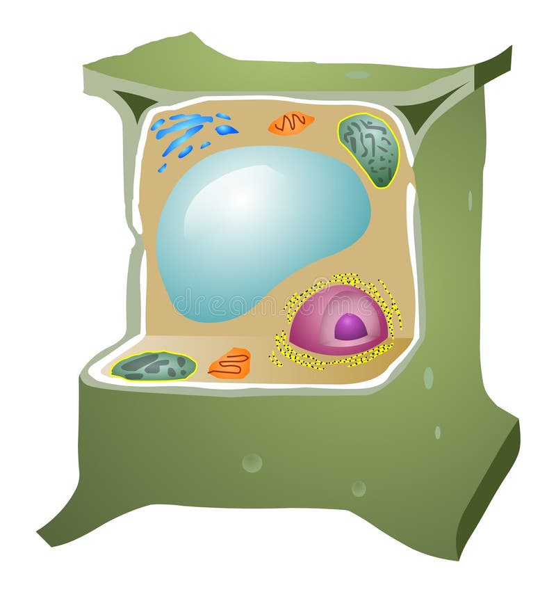 Pilha da planta ilustração royalty free Pilha da planta ilustração royalty free