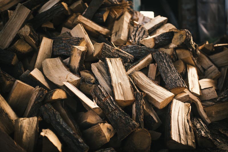 Pilha de lenha num monte Pilhas de coníferas e de decepção de lenha fotos de stock royalty free