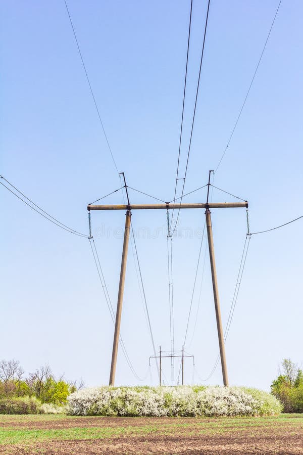 Pilier de transmission de puissance avec fils image verticale. Poteau de puissance avec fils au milieu des buissons à fleurs au printemps