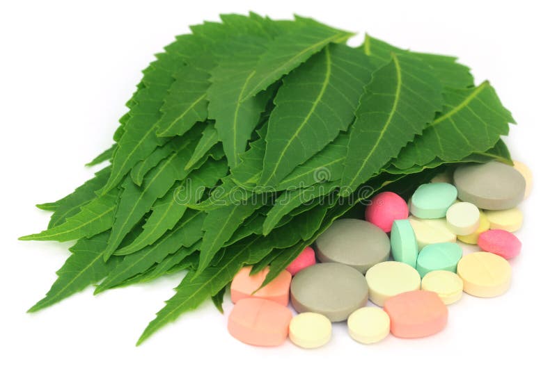Pills Made from Medicinal Neem Leaves Stock Image Image of cure