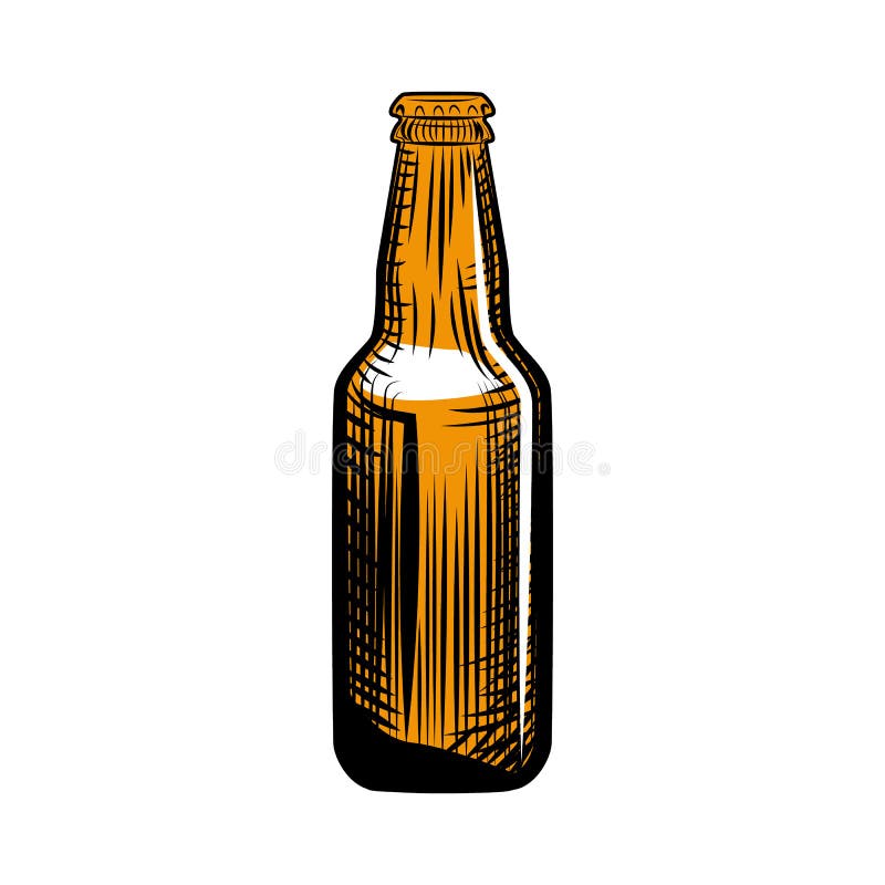 Pilsner μπουκάλι μπύρας Ύφος χάραξης Συρμένη χέρι απεικόνιση που απομονώνεται ελεύθερη απεικόνιση δικαιώματος